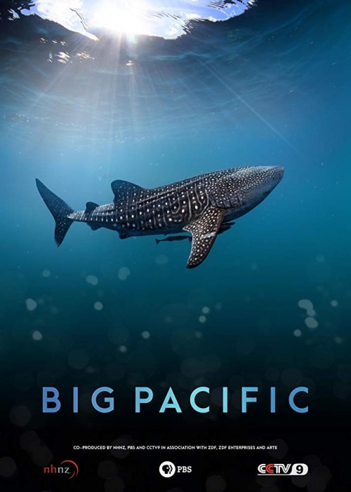 Big Pacific S01 720p 10bit BluRay x265 HEVC budgetbits