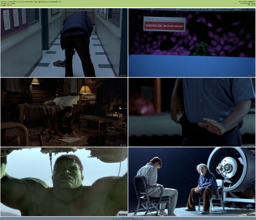 Hulk 2003 QuipTracks triple audio 720p 10bit BluRay x265 budgetbits