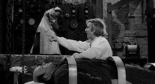 young frankenstein 11