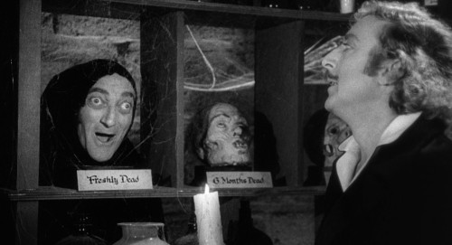 young frankenstein 8