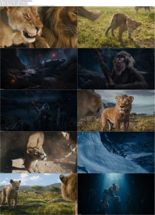 Mufasa.The.Lion.King.2024.720p.WEB DL [2000MB][Feranki1980] s