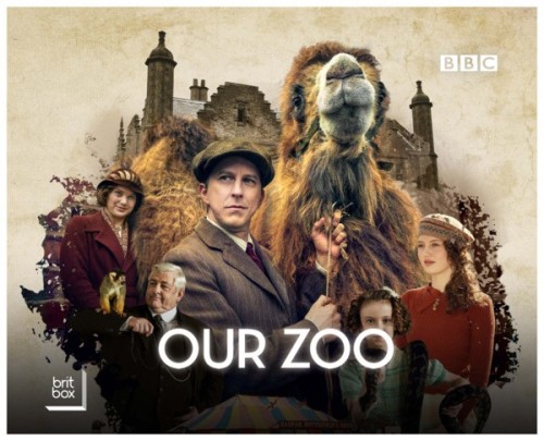 Zoo cover