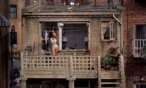 rear window 11