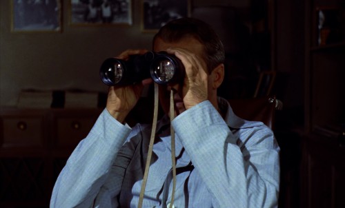 rear window 9