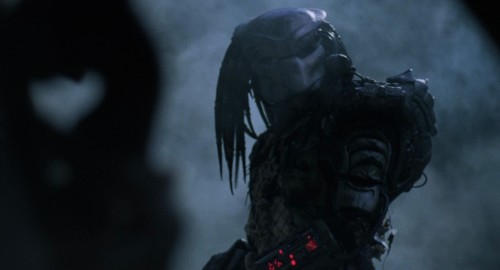 predator 20