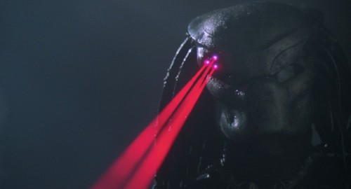 predator 21