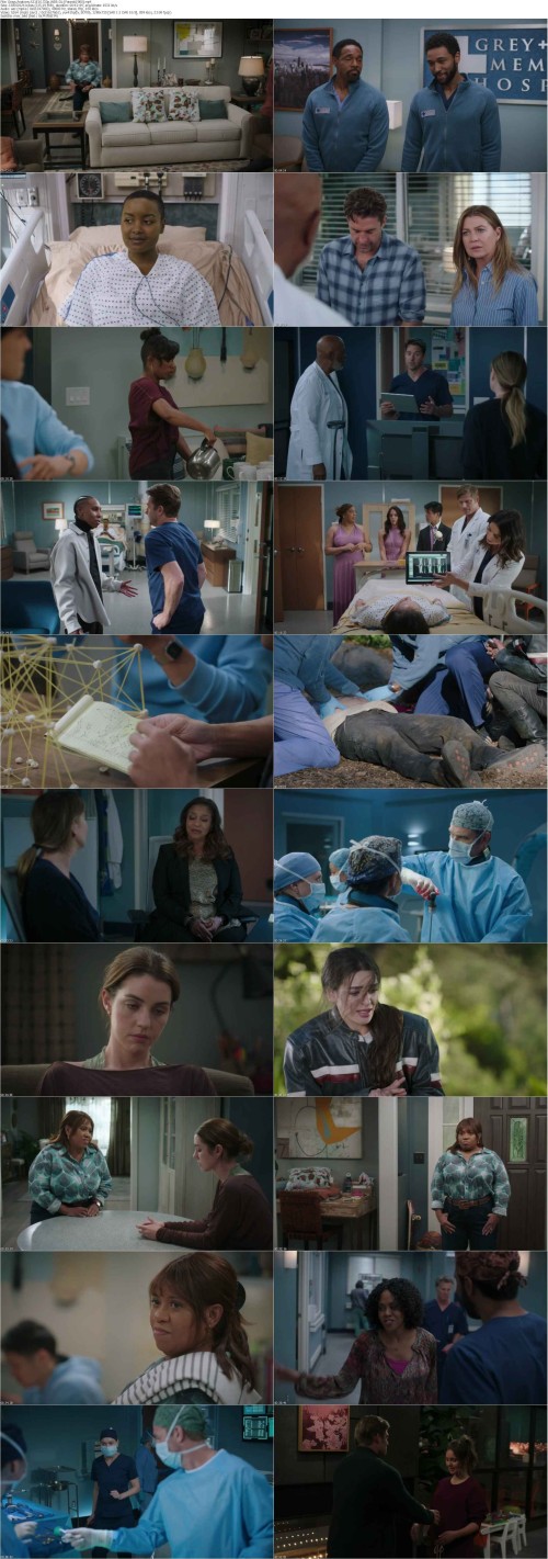 Greys.Anatomy.S21E10.720p.WEB DL [Feranki1980] s