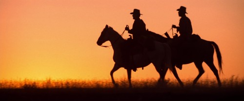 unforgiven 7