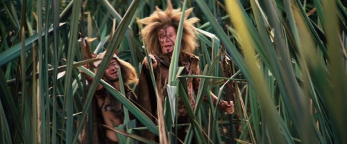 willow 9