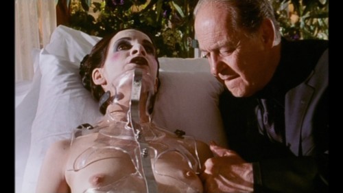 8.And.A.Half.Women.1999.DVDRip.x264 [Apollo777].mkv VLC media player 5 30 2025 6 20 54 PM
