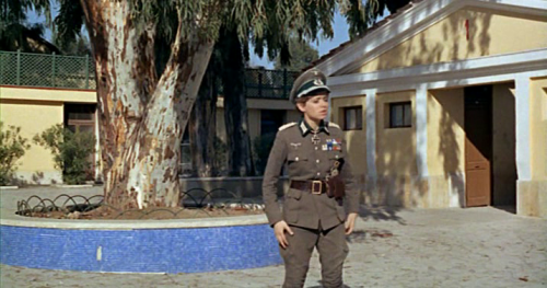 vlcsnap 2025 06 30 11h43m31s061