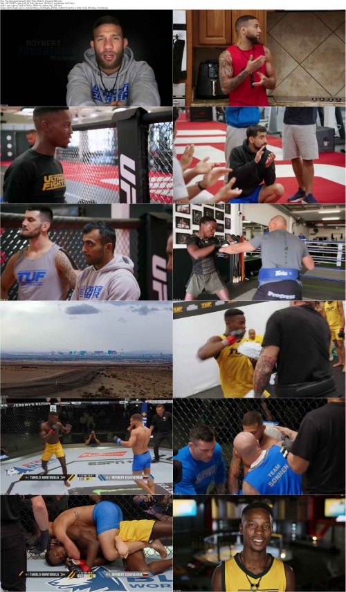 The.Ultimate.Fighter.S33E07.720p.WEB DL [Feranki1980] s