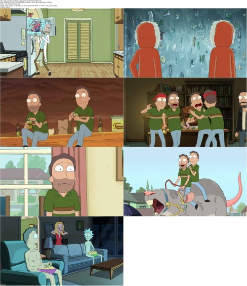 Rick.and.Morty.S08E08.1080p.WEB DL [Feranki1980] s