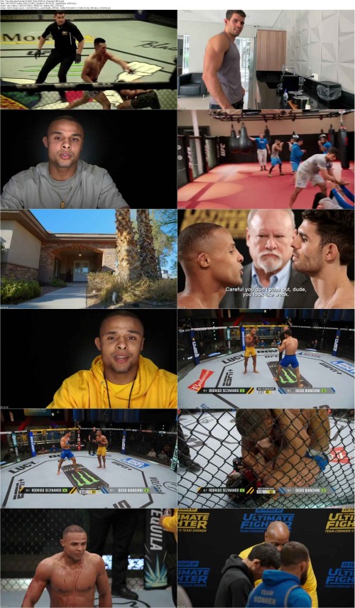 The.Ultimate.Fighter.S33E08.720p.WEB DL [Feranki1980] s