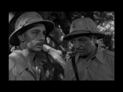 vlcsnap 2025 08 10 19h07m54s829