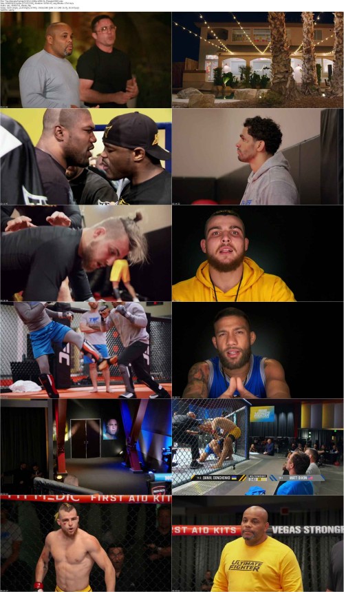 The.Ultimate.Fighter.S33E12.1080p.WEB DL [Feranki1980] s