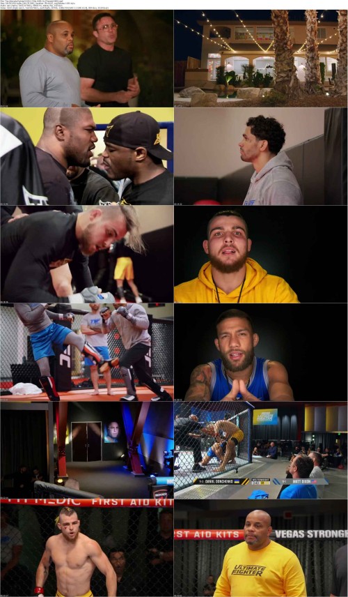 The.Ultimate.Fighter.S33E12.720p.WEB DL [Feranki1980] s