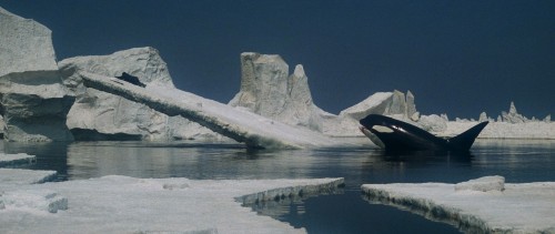 orca 14