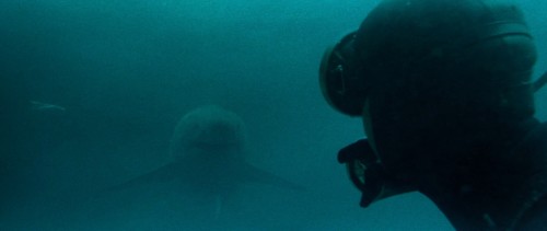 orca 2