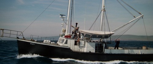 orca 3