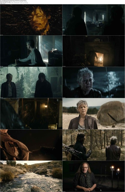 The.Walking.Dead.Daryl.Dixon.S03E01.1080p.WEB DL [Feranki1980] s