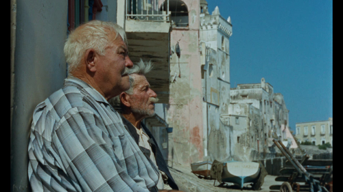 vlcsnap 2025 09 23 23h59m19s556