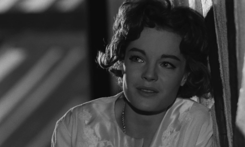 vlcsnap 2025 09 26 10h37m49s746