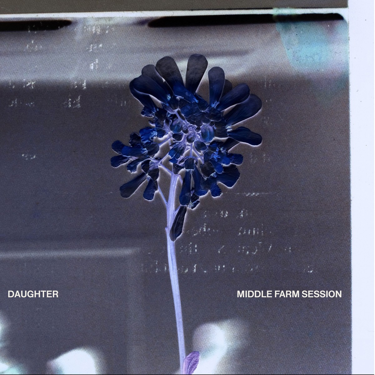 Movie cover image