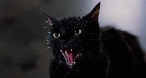 tales from the darkside 12