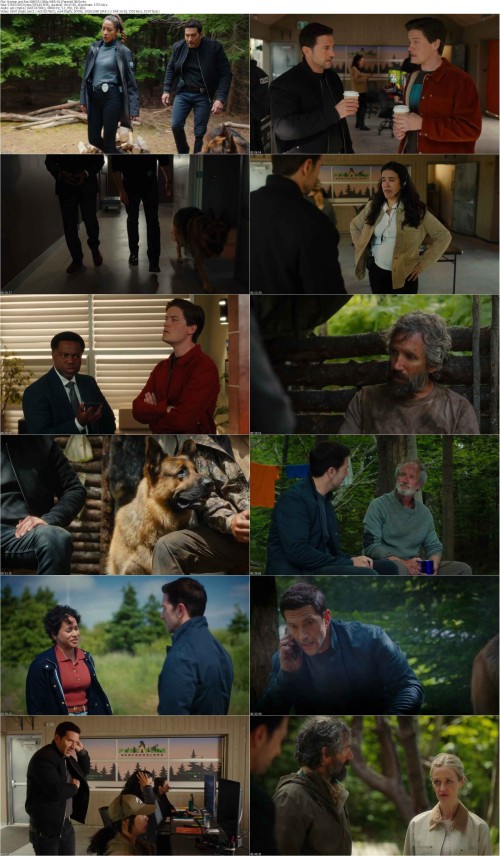 Hudson.and.Rex.S08E05.1080p.WEB DL [Feranki1980] s