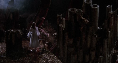 the company of wolves 3