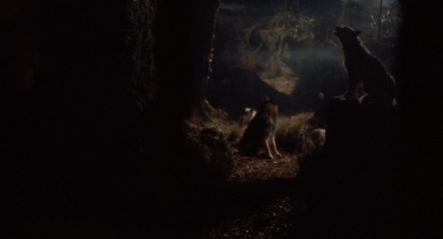 the company of wolves 7