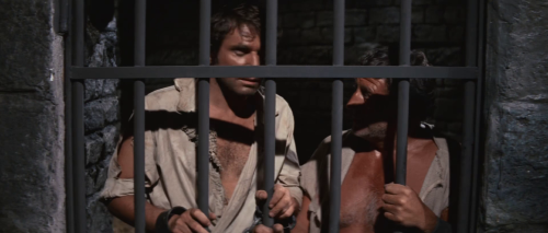 vlcsnap 2025 11 02 12h13m10s276