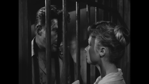 vlcsnap 2025 11 05 00h03m57s646