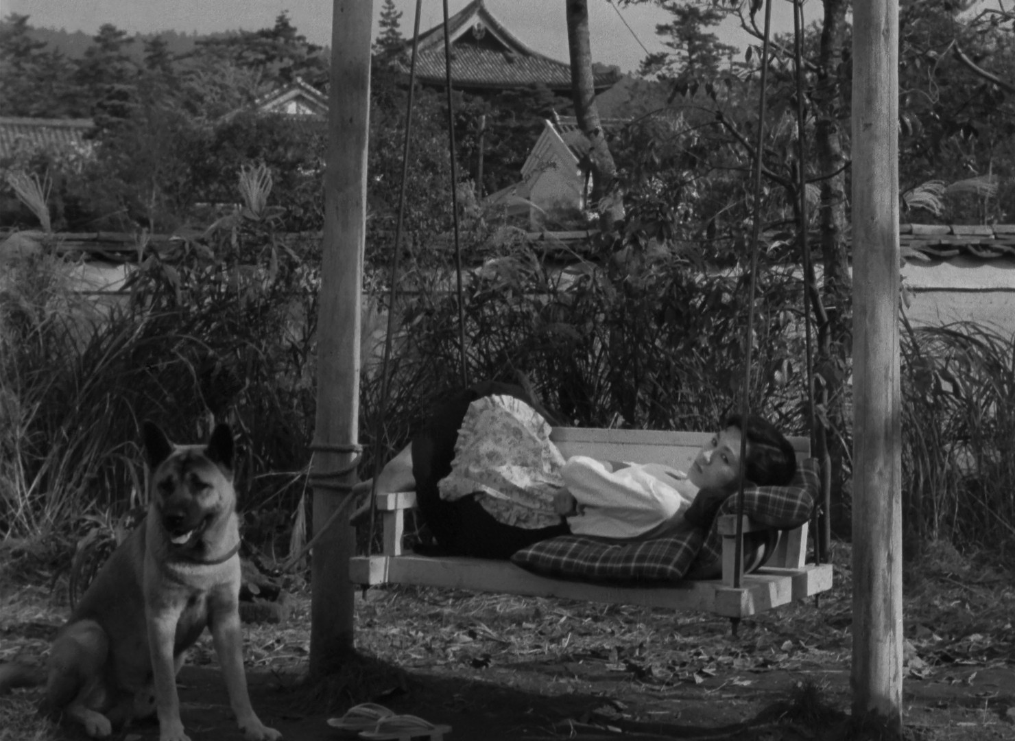 Movie cover image
