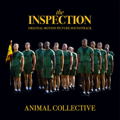 Animal Collective The Inspection