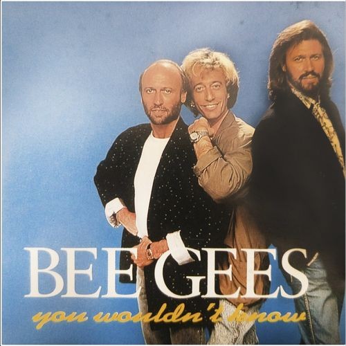 Bee-Gees---Bee-Gees-You-Wouldnt-Know.jpg