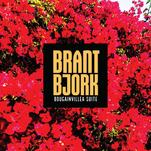 Brant Bjork