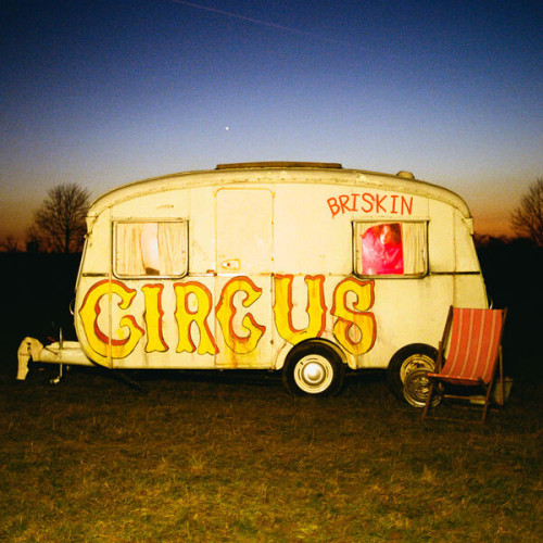Briskin The Circus