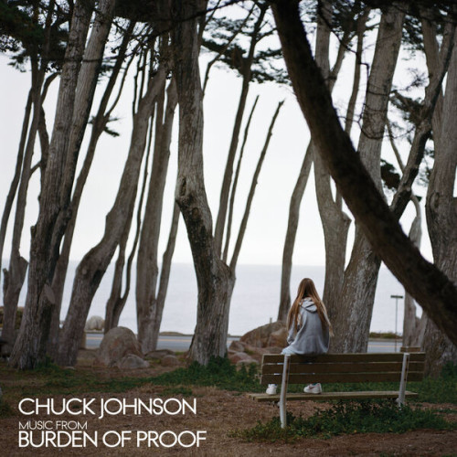 Chuck Johnson Music From Burden Of Proof