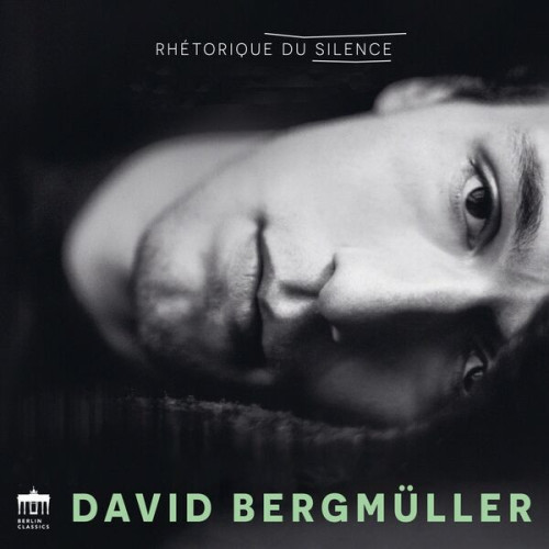David Bergmüller Rhétorique du Silence