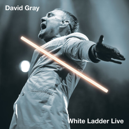 David Gray White Ladder Live