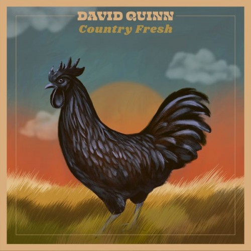 David Quinn