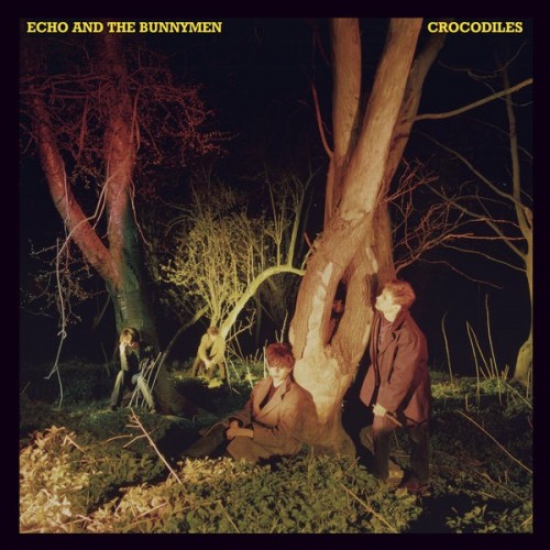 Echo And The Bunnymen Crocodiles