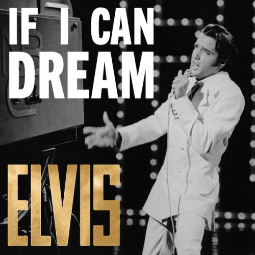 Elvis Presley If I Can Dream