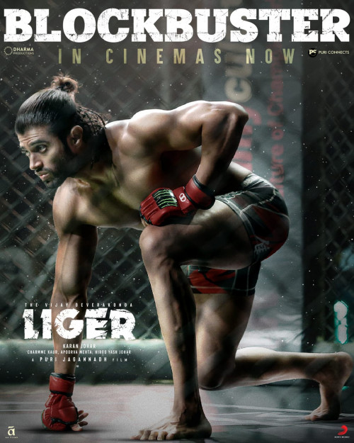 Liger (2022) HDRip Malayalam Movie Watch Online Free