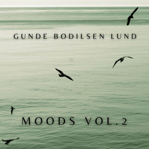 Henrik Gunde Moods, Vol. 2