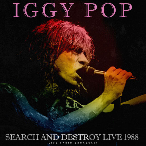 Iggy Pop Search And Destroy Live 1988