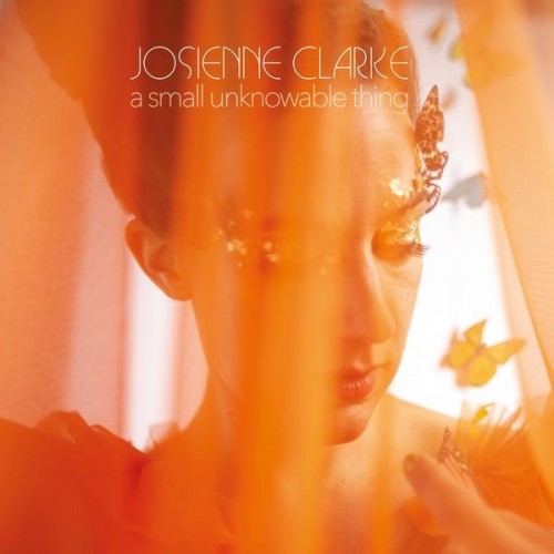 Josienne Clarke A Small Unknowable Thing