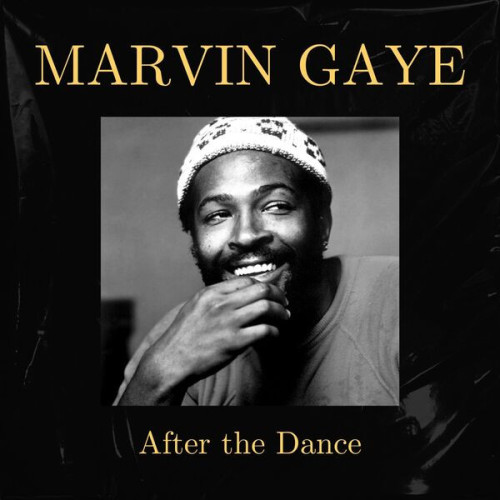 Marvin Gaye After The Dance